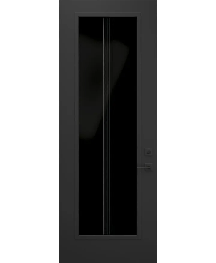 Black linear privacy glass insert for an entry door
